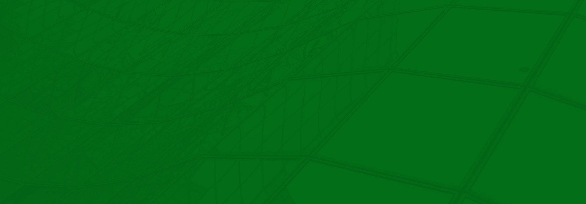 green banner